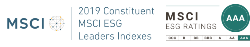 2019 Constituent MSCI ESG Leaders Indexes<sup>1</sup>