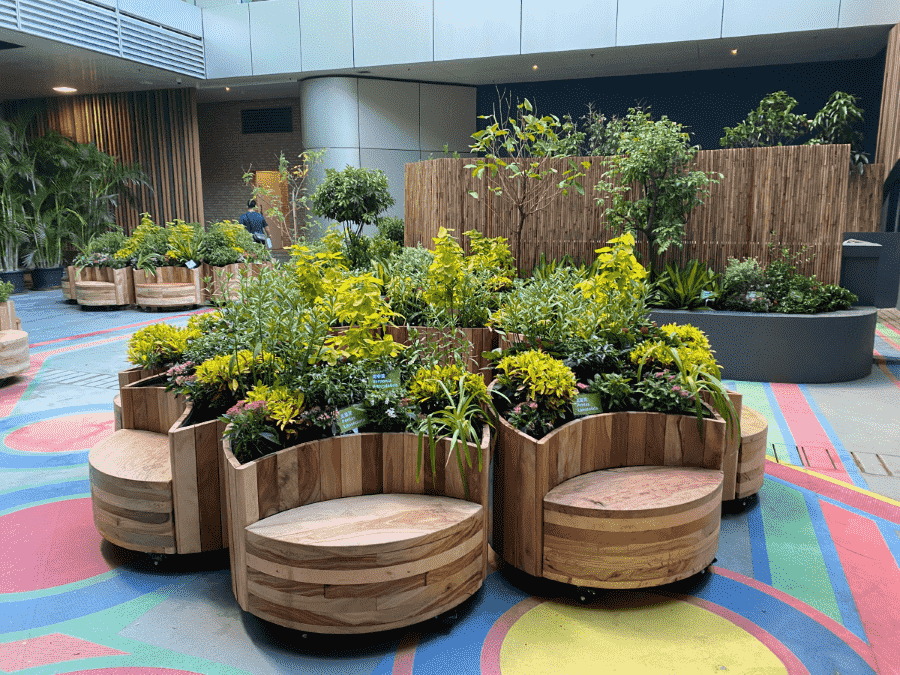 New Garden at The Loop at Devon House