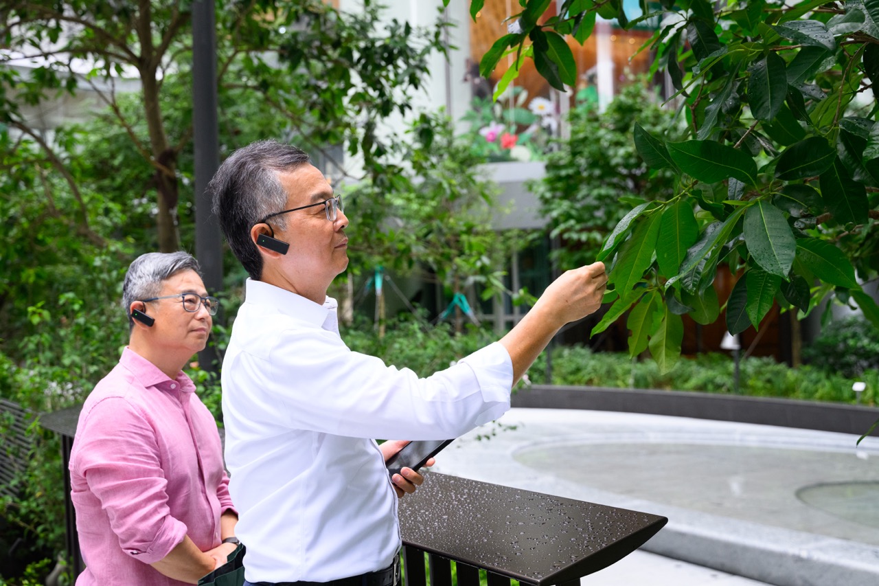 太古中央廣場「生物多樣性之旅」導賞團