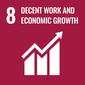 SDG 8 ─ 體面工作和經濟增長