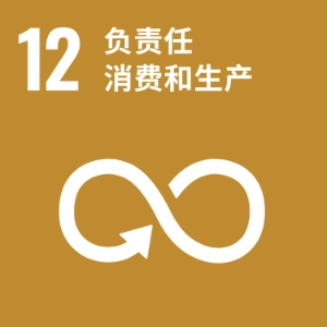 SDG 12 ─ 负责任消费和生产