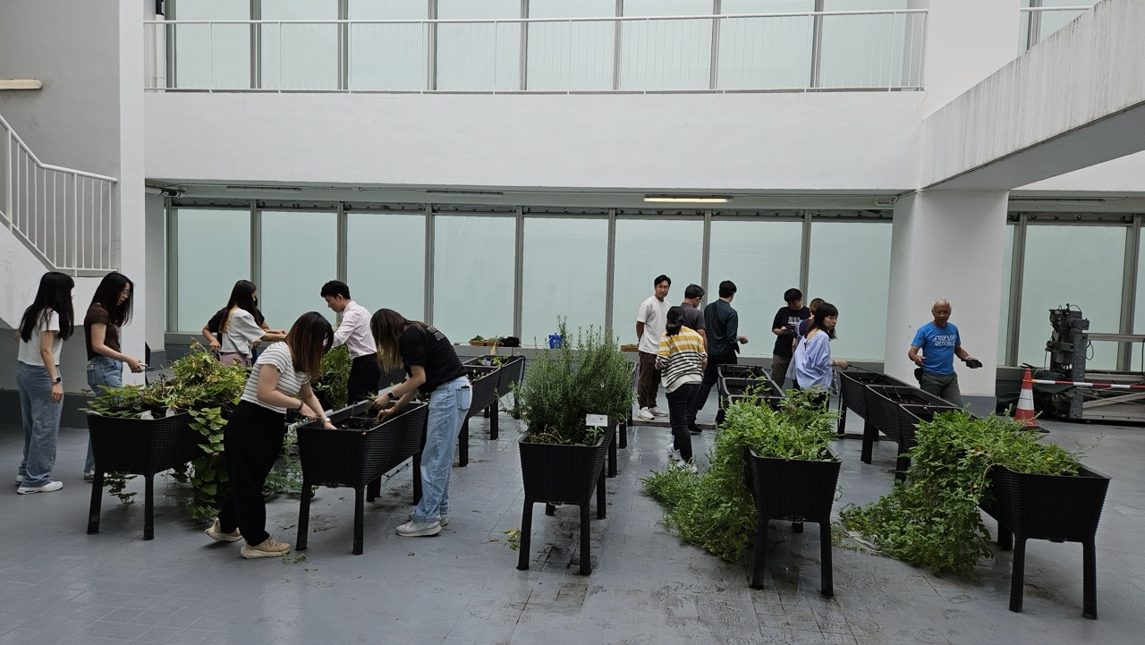 The Loop and Urban Farming Programmes