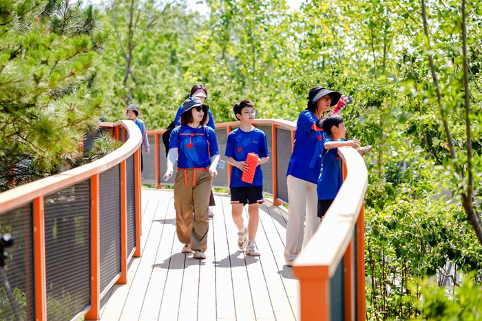 Exploring Local Ecosystems in Beijing