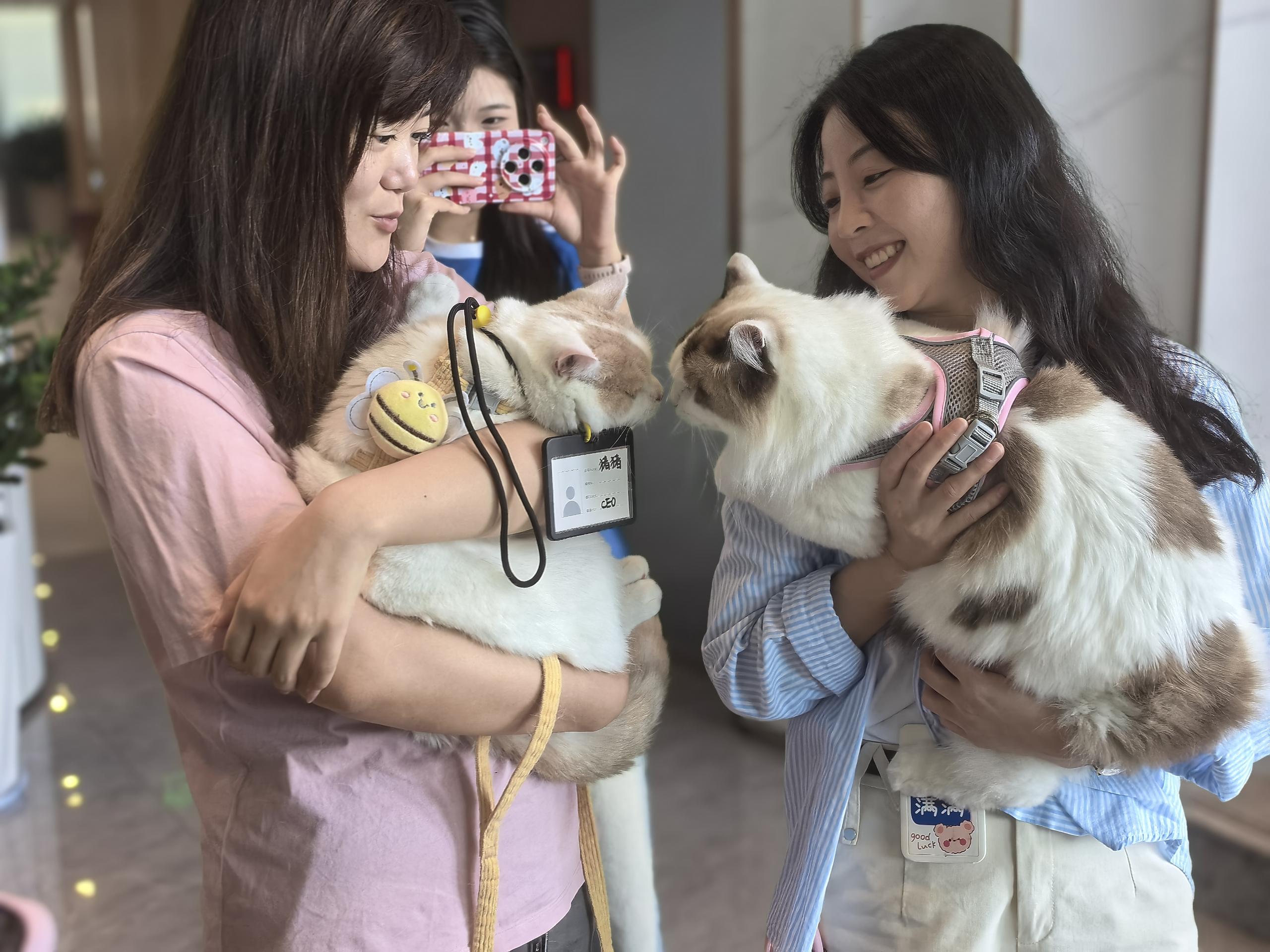 “From Paws to Planet Pet Day” in Sanya