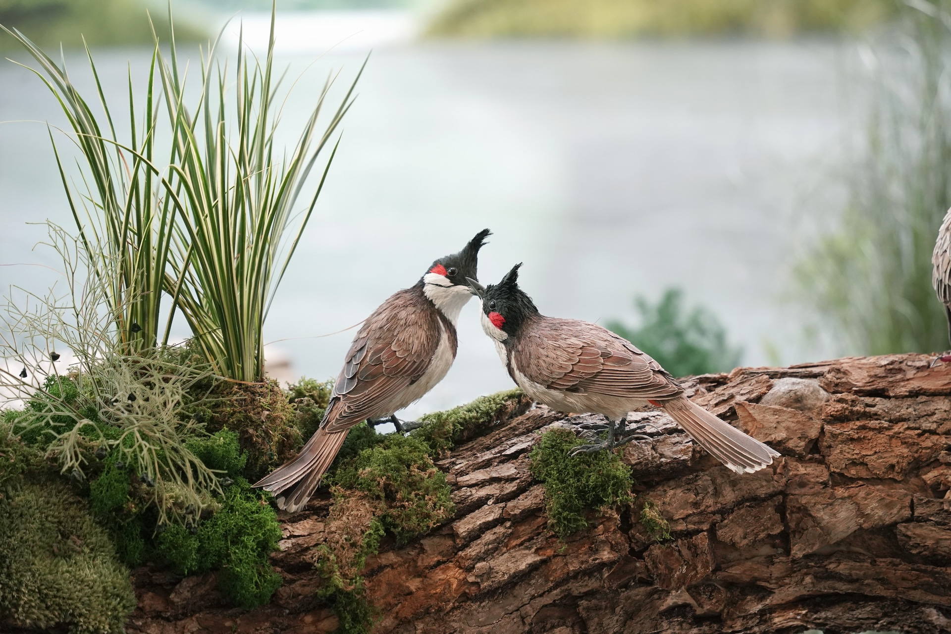 Sustainability We All Count: 2025 Edition