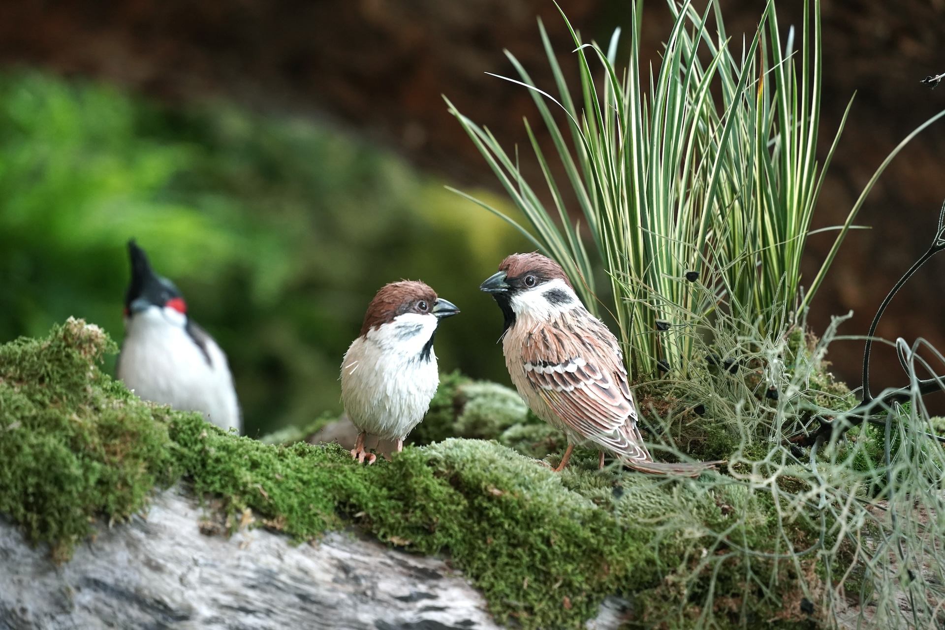 Sustainability We All Count: 2025 Edition