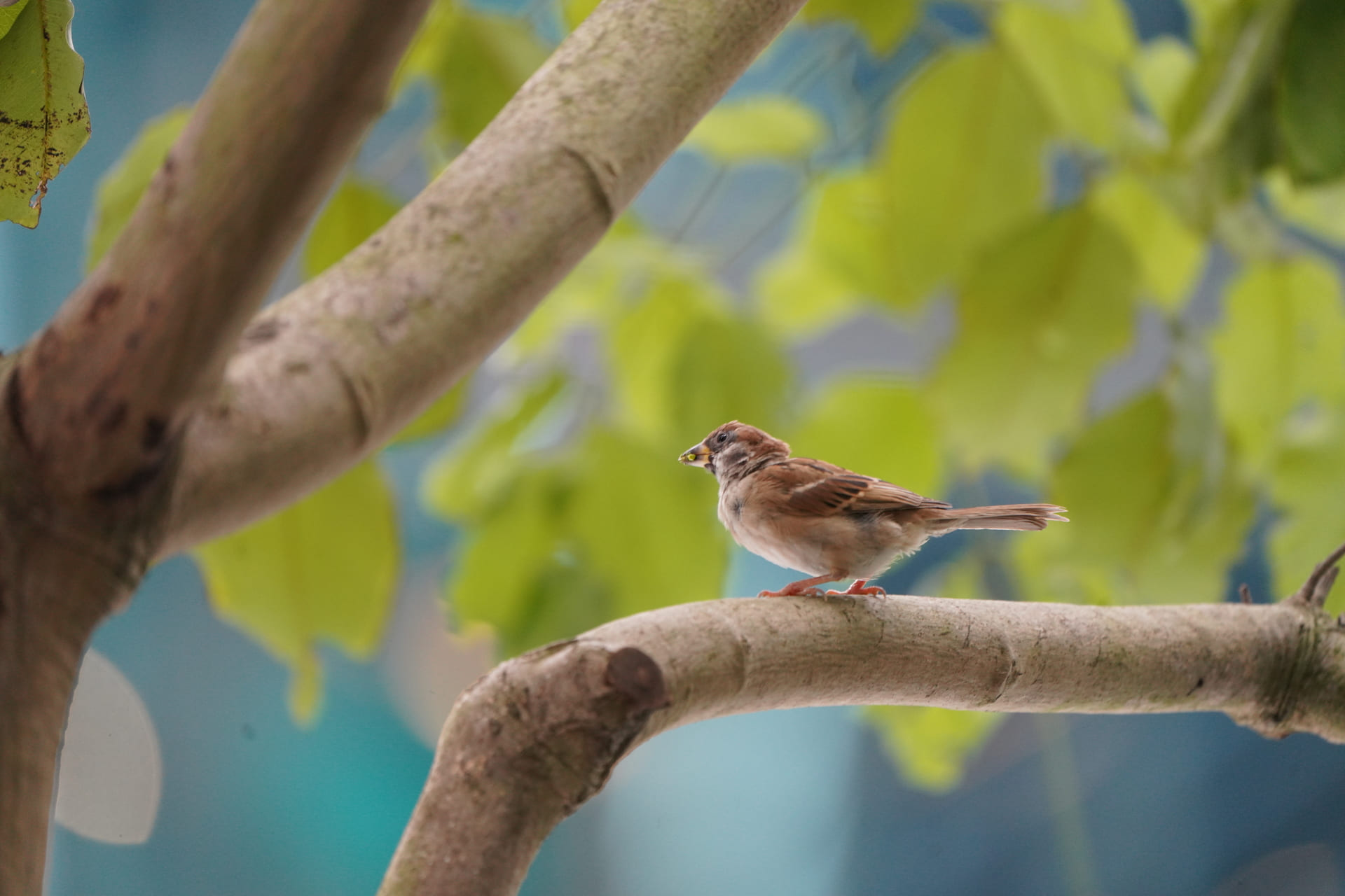 Nature and Biodiversity