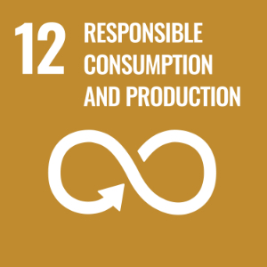 SDG 12 ─ 負責任消費和生產